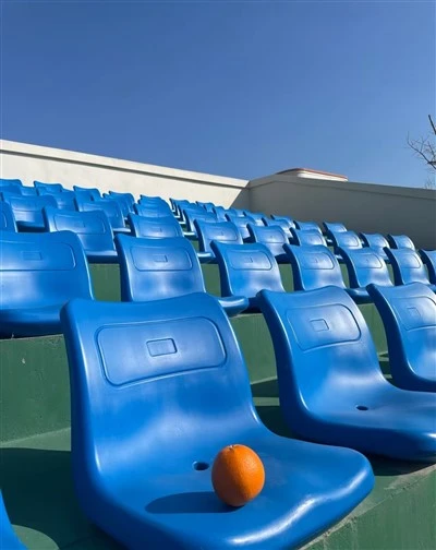 中空プラスチックシート